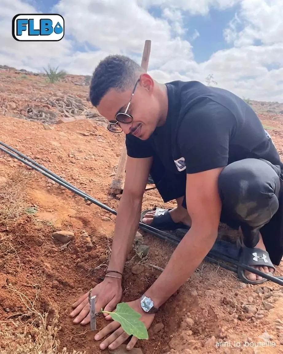 Plantation d'arbre dans le sud du Maroc avec l'Association Aïcha